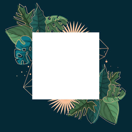 Square Green Tropical Plant Summer Leaf Border Frame Backgroundのイラスト素材