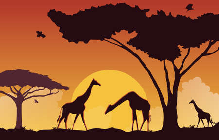 Giraffe Sunset Animal Savanna Landscape Africa Wildlife Illustrationのイラスト素材