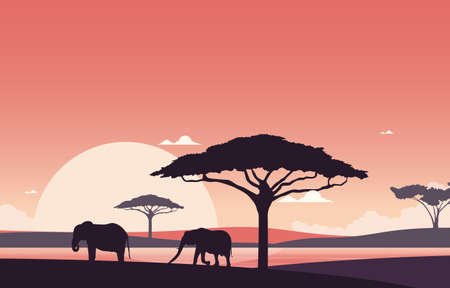 Elephant Sunset Animal Savanna Landscape Africa Wildlife Illustrationのイラスト素材