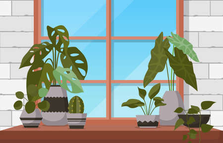 Tropical Houseplant Green Decorative Plant Window House Illustrationのイラスト素材