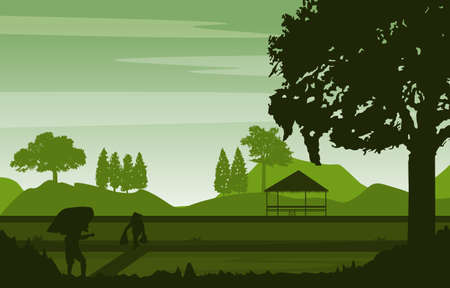 Asian Farmer Paddy Rice Field Agriculture Nature View Illustrationのイラスト素材