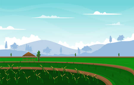 Bali Terraced Paddy Rice Field Agriculture Nature View Illustrationのイラスト素材