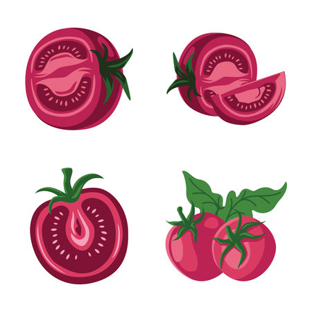 Purple Tomato Healthy Fresh Food Fruit Vegetable with Leaf on Isolated Backgroundのイラスト素材