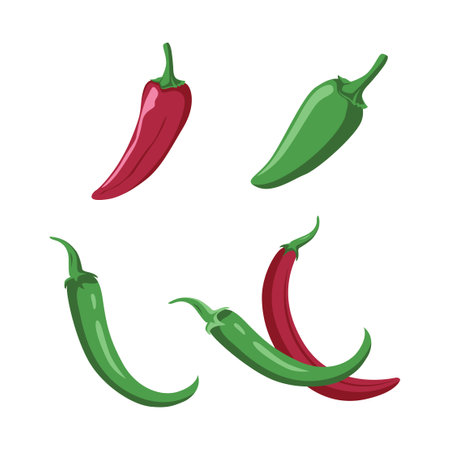 Vector Design of Red Green Hot Spicy Chili Pepper Vegetableのイラスト素材