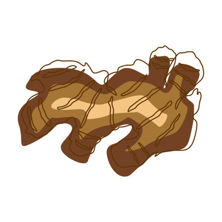 Ginger Spice Condiment Aromatic Herbal in Line Art Styleのイラスト素材