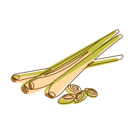 Lemongrass Leaf Spice Condiment Aromatic Herbal in Line Art Styleのイラスト素材