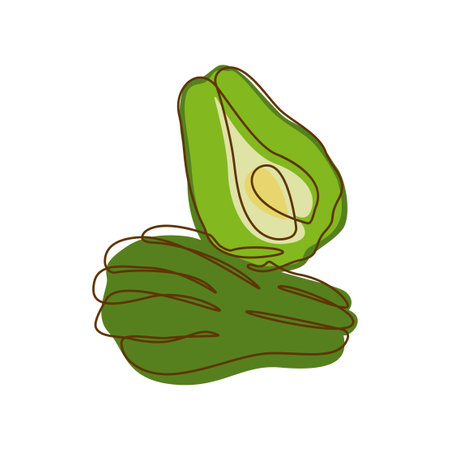 Healthy Green Food Ingredient Chayote Vegetable in Line Art Designのイラスト素材