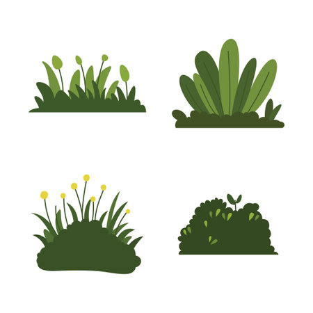 Set of Green Bush Grass Floral Leaves Nature Plant in the Parkのイラスト素材