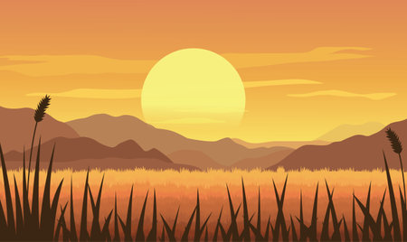 Beautiful Golden Sun at Sunset Sunrise in Mountains Rice Field Nature Landscapeのイラスト素材