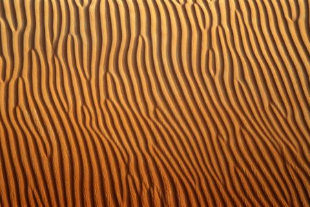 desertの写真素材