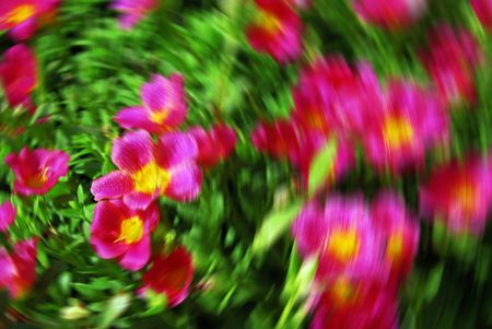 abstractの写真素材