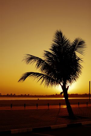 silhouetteの写真素材