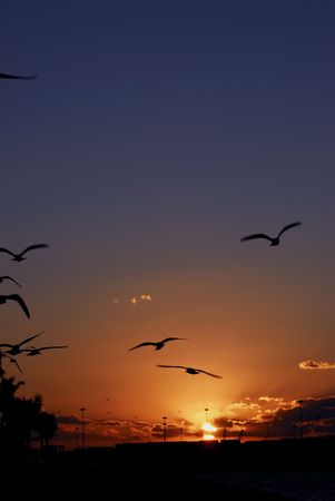 sunrise sunsetの写真素材