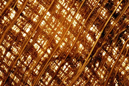 textureの写真素材