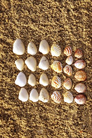 textureの写真素材