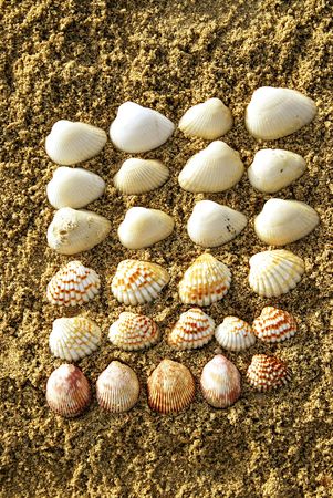 textureの写真素材