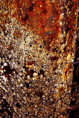 textureの写真素材