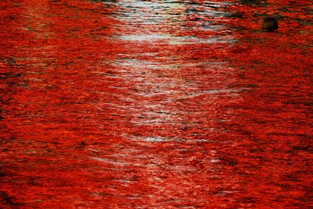 abstractの写真素材