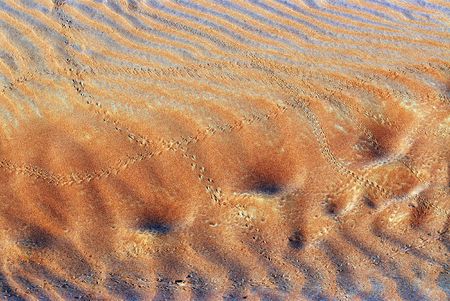 textureの写真素材