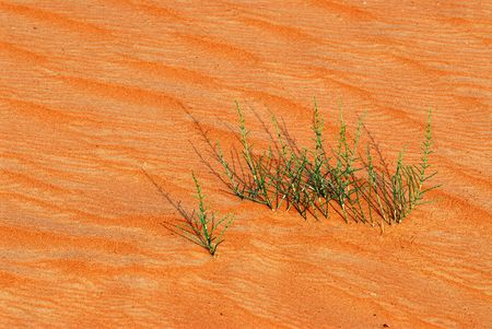 textureの写真素材