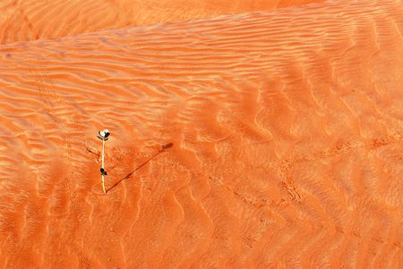 textureの写真素材