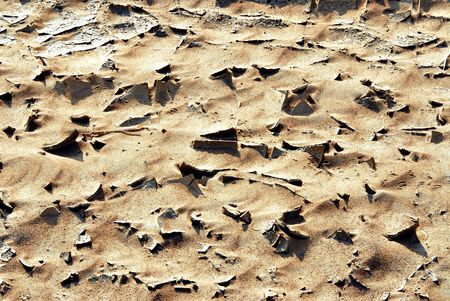 textureの写真素材