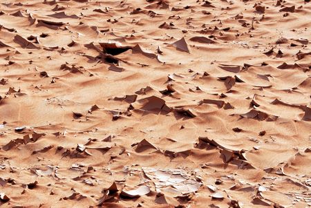 textureの写真素材