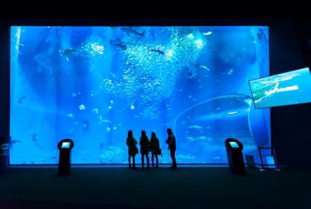 silhouettes of people against a big aquariumの写真素材