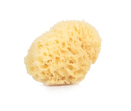 Bath sponge isolated on white backgroundの写真素材