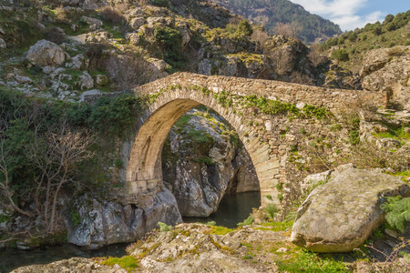 The ancient Genoese bridge over the Asco river at Asco in Corsicaの写真素材