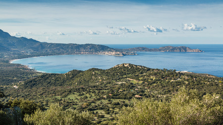 The bay of Calvi with blue skies and maquis in the foreground