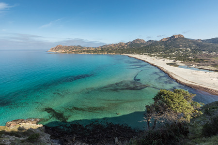 Translucent turquoise sea at a deserted Ostriconi beach with the coastline of the Desert des Agriates and a clear blue skyの写真素材