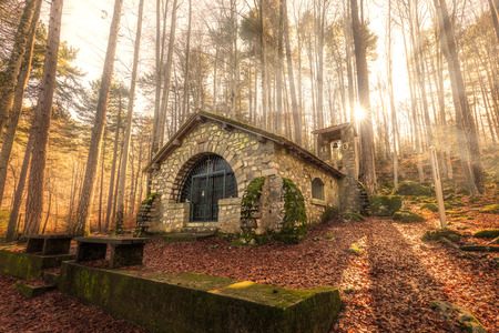 Afternoon sun filtering through trees onto the Chapelle Notre Dame de la ForÃªt in the woods at Vizzavona in Corsicaの写真素材