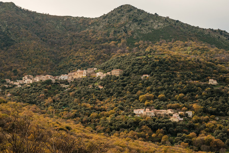 Ancient mountain villages of Poggiali and Muro in the Balagne region of Corsica surrounded by golden...