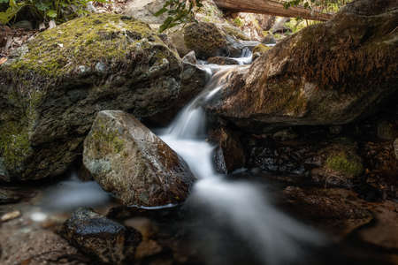 Clear mountain stream flowing between large boulders in a forest in the mountains of Corsica