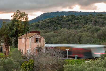 Train passing through a level crossing and old station at Regino in the Balagne region of Corsica