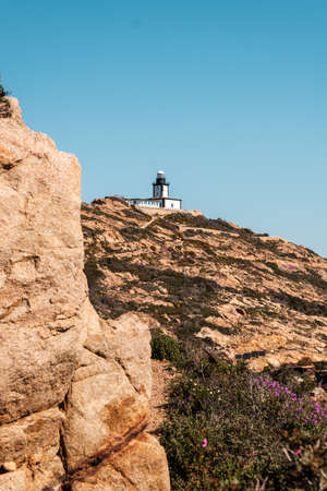 Revellata lighthouse on a rocky outcrop near Calvi in the Balagne region of Corsicaの写真素材
