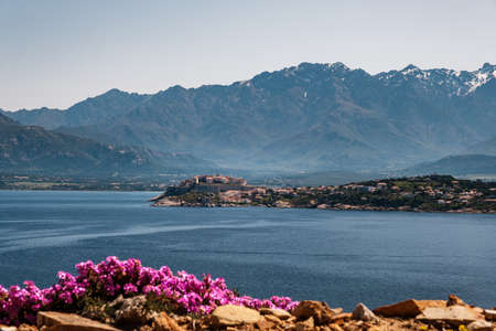The citadel of Calvi in the Balagne region of Corsica with pink flowers in the foreground and snow capped mouuntains behindの写真素材