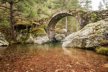 Ancient Genoese bridge over the clear waters of La Tartagine river in the Balagne region of Corsicaの写真素材