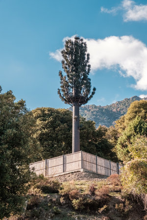 A telecommunications mast disguised as a tree above the mountain village of Popolasca in Corsicaの写真素材