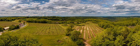 Florimont-Gaumier, Nouvelle-Aquitaine, France - 5th May 2024: Panoramic view of the Pays de Domme vineyard and the forests of the Dordogne region of Franceのeditorial素材