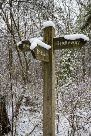 Wooden bridleway sign with three arrows covered with snow in forrest settingの写真素材