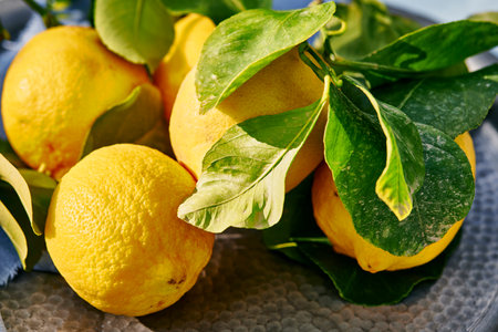 Vibrant fresh lemons and leaves in bright sunshine on tableの写真素材