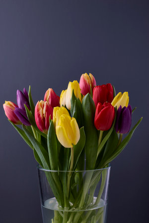 Multicoloured Fresh Cut Tulips In Glass Vase on Dark Grey Backgroundの写真素材