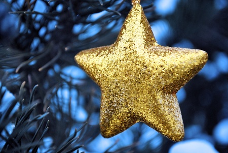 Christmas decoration (golden star) on a treeの写真素材