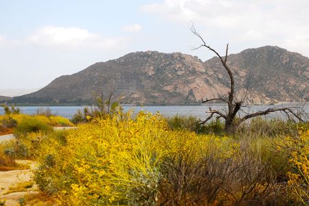 this is a shot of a landscapeの写真素材