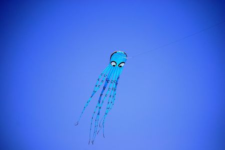 this is a shot of a kiteの写真素材