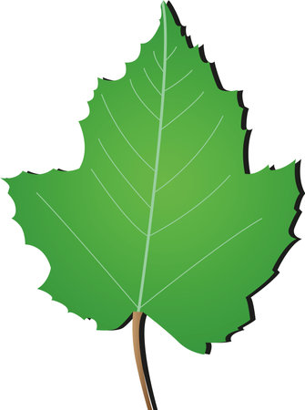 Leaf nature for pattern backgroundのイラスト素材