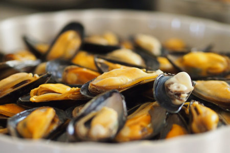 Delicious Seafood Mussels Food Background