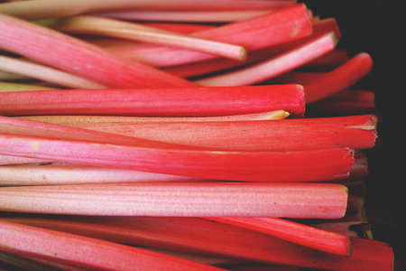 Delicious Rhubarb Food Backgroundの写真素材